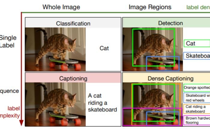 Visual Recognition and Image Captioning